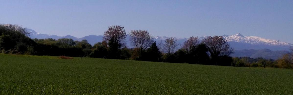 Les pyrenees